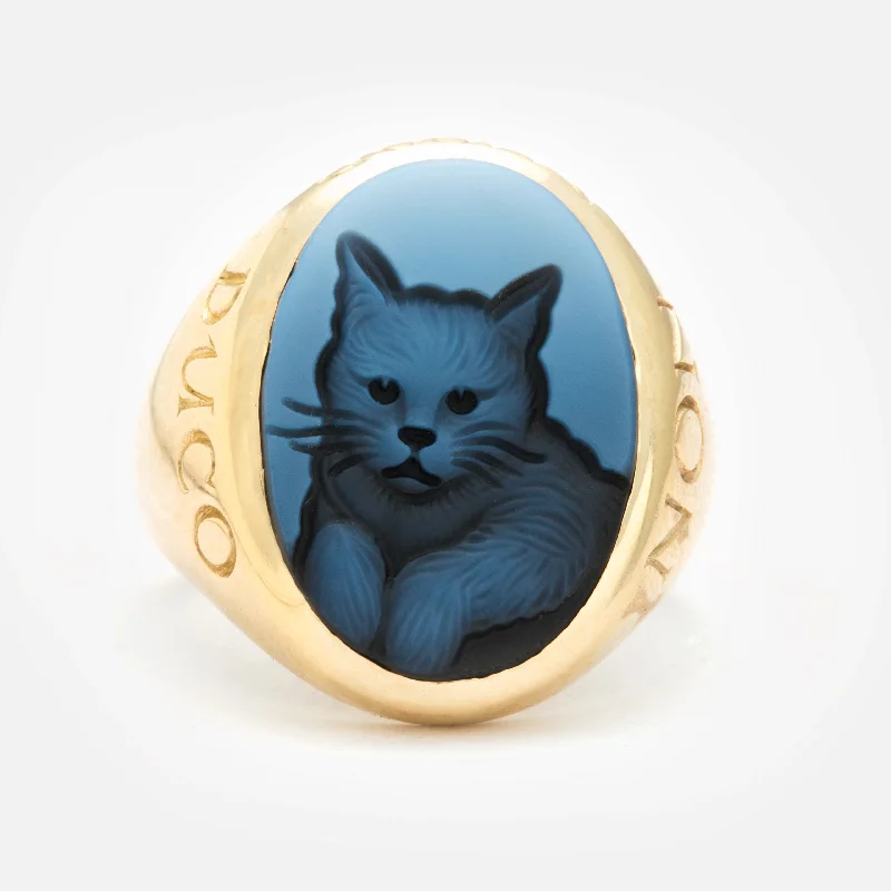 sapphire rings for women-Kitty Cat Non Ducor Duco